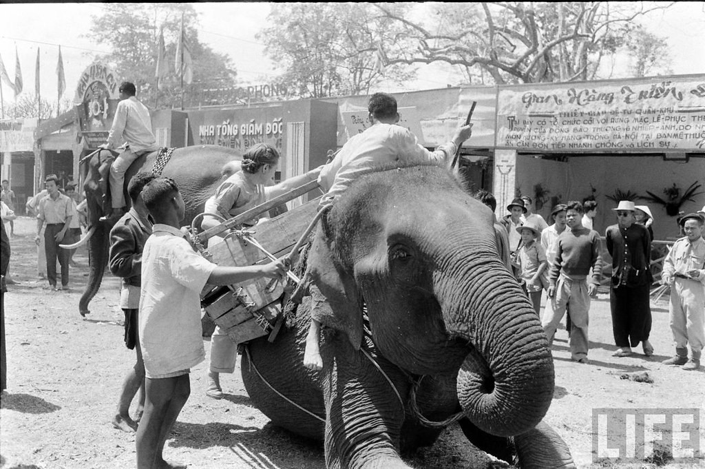 Hội Chợ Kinh Tế Ban Mê Thuột 1957, diễn ra từ ngày 22/2 đến 4/3/1957 tại thị xã BMT