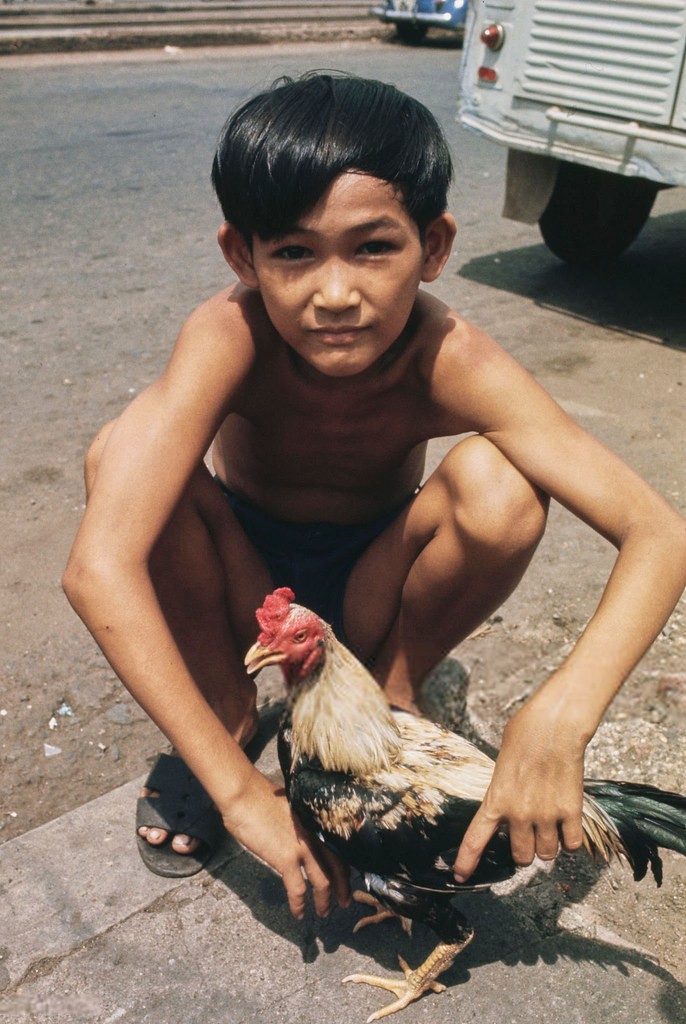 Chieu Hoi Centre, Vietnam War 1970