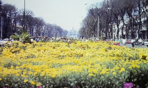 Saigon Feb 1967 - Chợ hoa Tết Đinh Mùi đường Nguyễn Huệ
