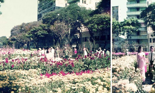 SAIGON 1967 - Chợ hoa Tết đường Nguyễn Huệ