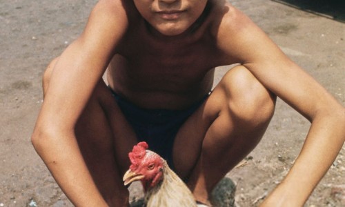 Chieu Hoi Centre, Vietnam War 1970