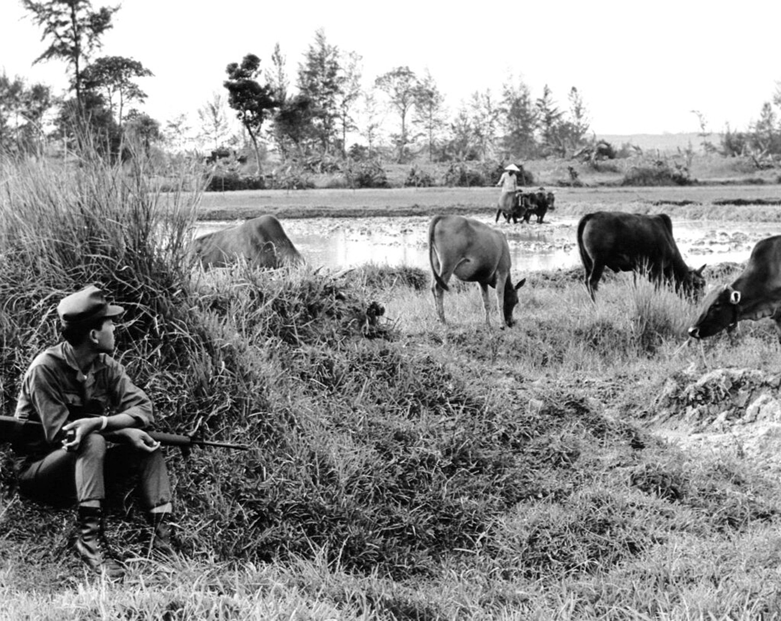 Vietnam War 1969