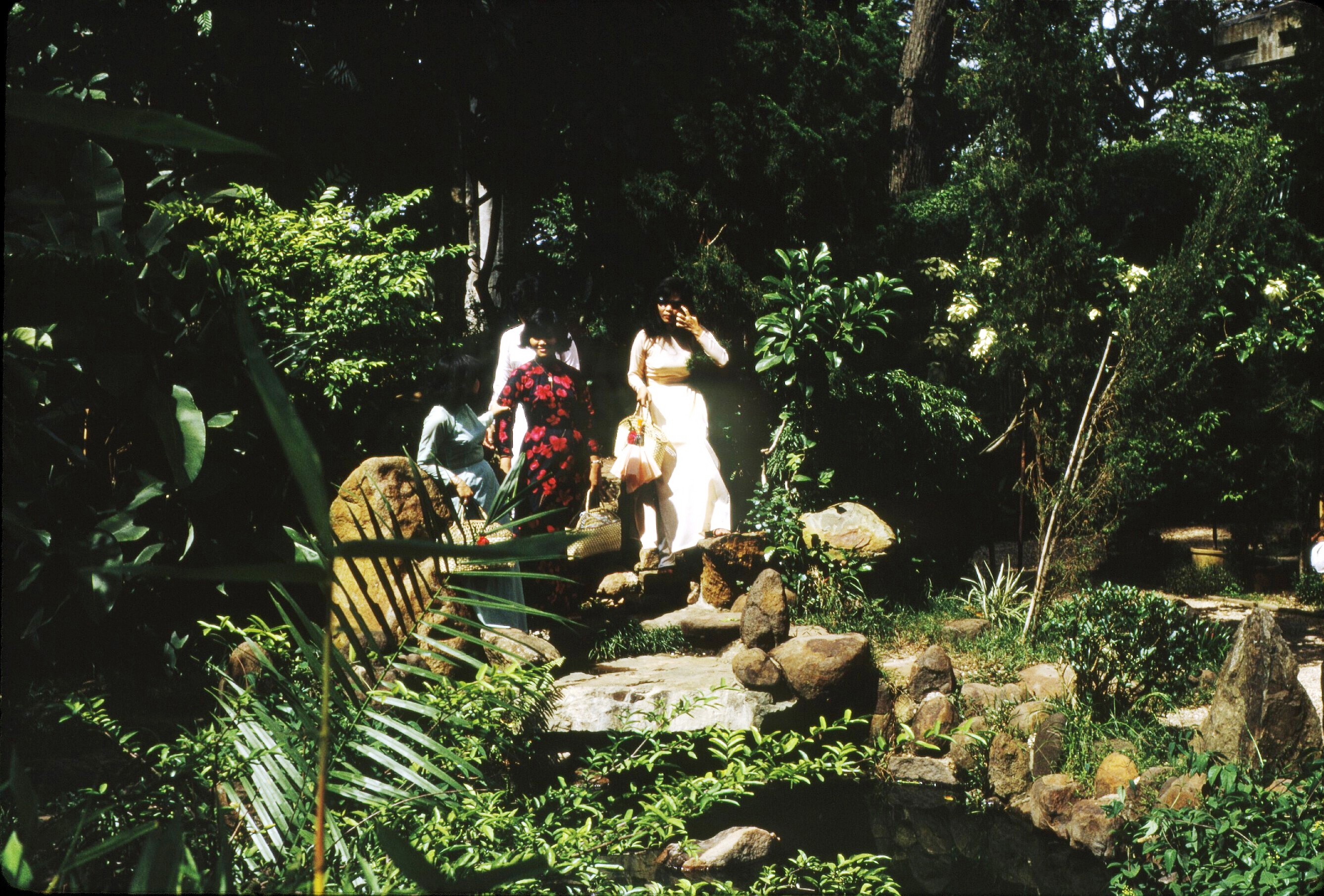 SAIGON 1967 - Botanical gardens