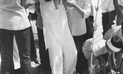 Vietnamese widow grieves for her recently slain military husband at graveside north of Saigon days before the city fell to the North Vietnamese in April 1975