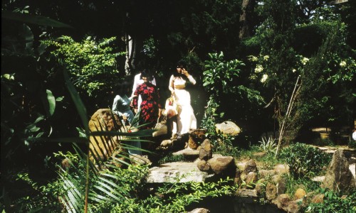 SAIGON 1967 - Botanical gardens