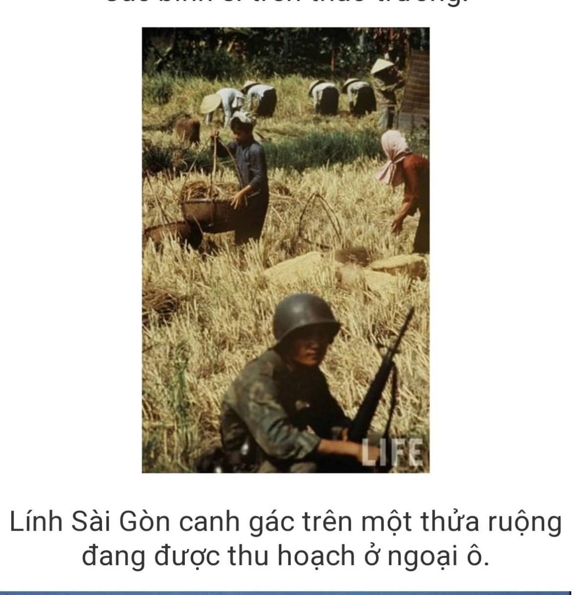 Canh gác