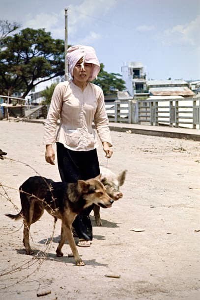 Mậu Thân 1968