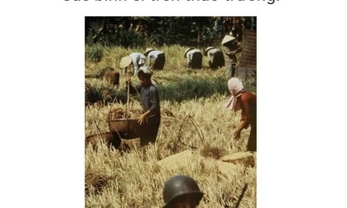 Canh gác
