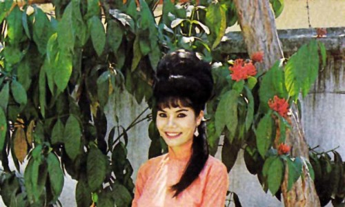 Beautiful Vietnamese lady wearing the AO DAI - 1970