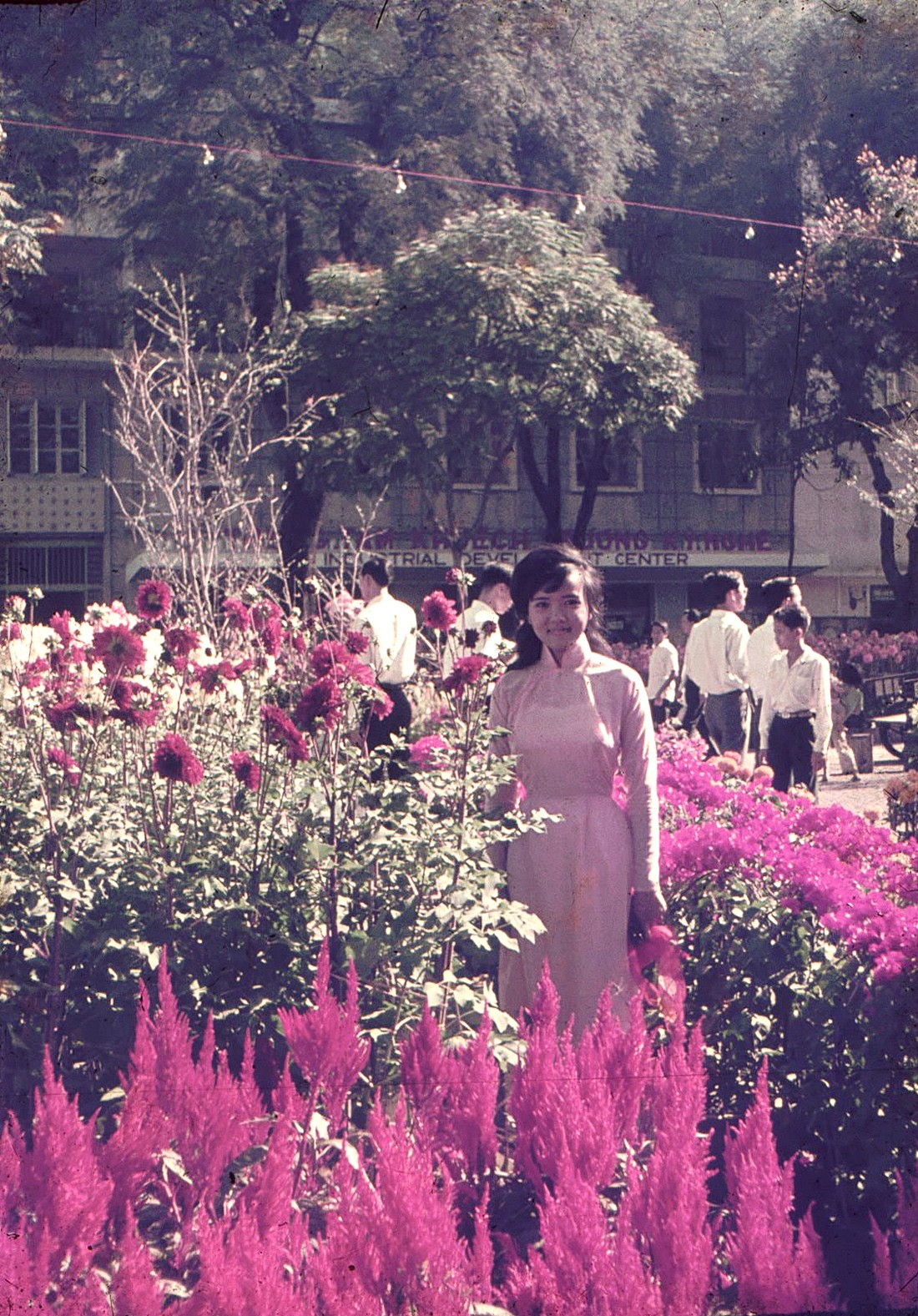 Chợ Hoa Tết 1967