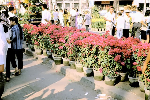 Tết xưa , chợ hoa Sài Gòn 34