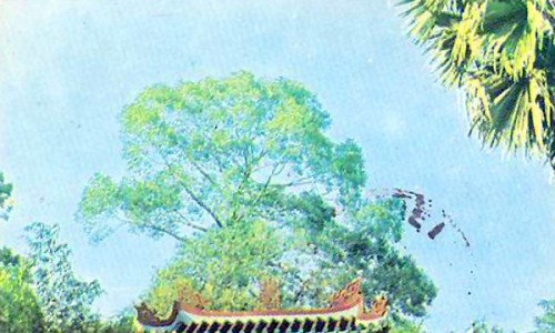 Saigon 1968 - Lăng Ông Bà Chiểu