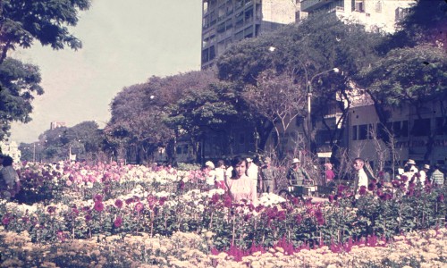 SAIGON 1967