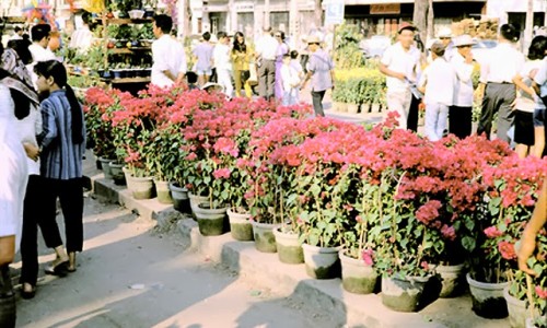 Tết xưa , chợ hoa Sài Gòn 34