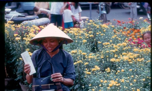 Saigon 1970 - tet flowers