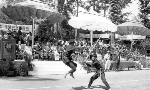 Tết Trung Thu 1969 - Defense Skills - Douglas Pike Photograph Collection