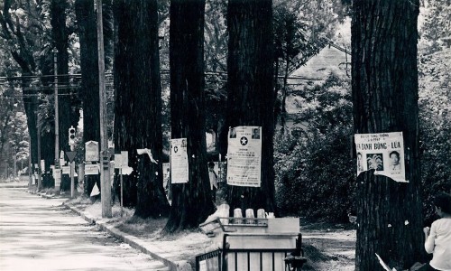 Saigon 1967 - Tree Election Posters Wire Photo