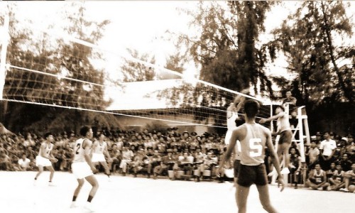 volley_team_k23_9