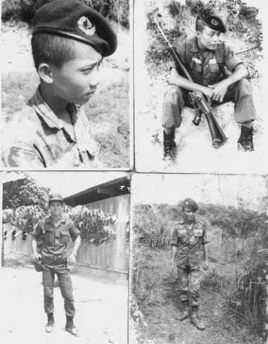 arvn4