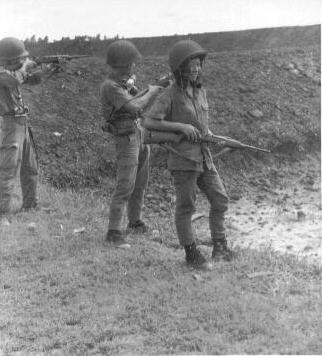 Arvn5