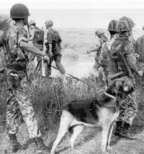 wardogs_vietnam_199th_400