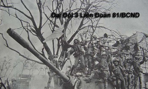 DD3