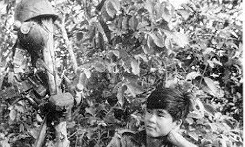 NhoNha