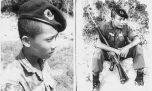 arvn4