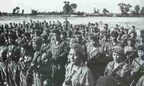 bdq1960