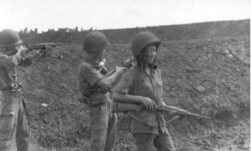 Arvn5